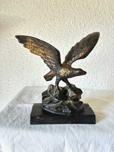 Adler auf felsvorsprung - auf,